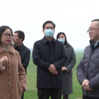 長(zhǎng)江委、省水利廳檢查組來枝江檢查河道采砂管理工作